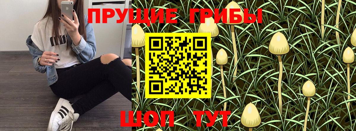 Егорьевск  Псилоцибиновые грибы ЛСД  купить  цена  Вход с VPN 
